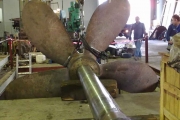 Fixed propeller